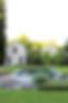 landscape 10.jpg