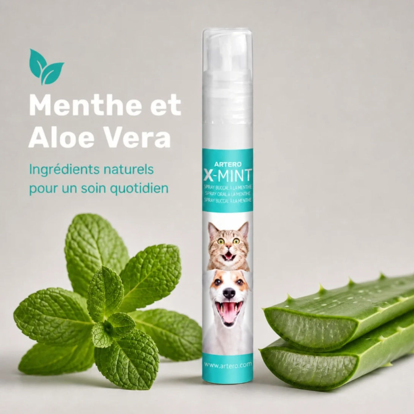 Artero - X-Mint haleine fraîche