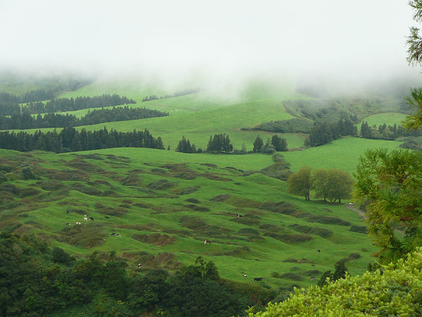 cmpernadasACORES200711P1010919.JPG