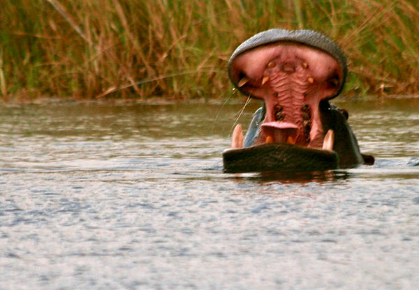 2009 09_MariaPernadas_Namibia_cmpernadas