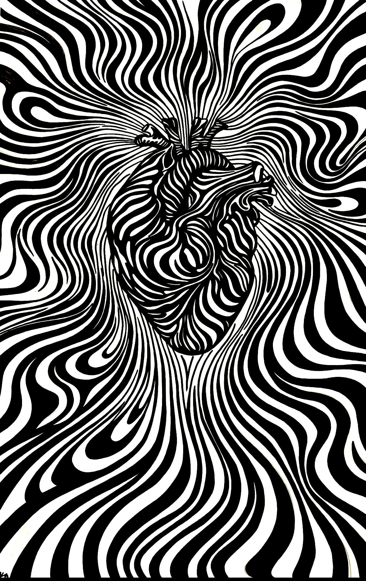 Anatomical Swirly (1/6)