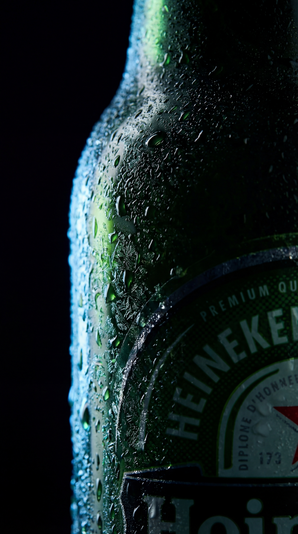 hf_20260128_101609_2e2e02ec-1f56-45b7-9330-1c1d4d854c63