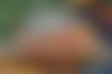 Effective 1 March 2024: New National Minimum Wage