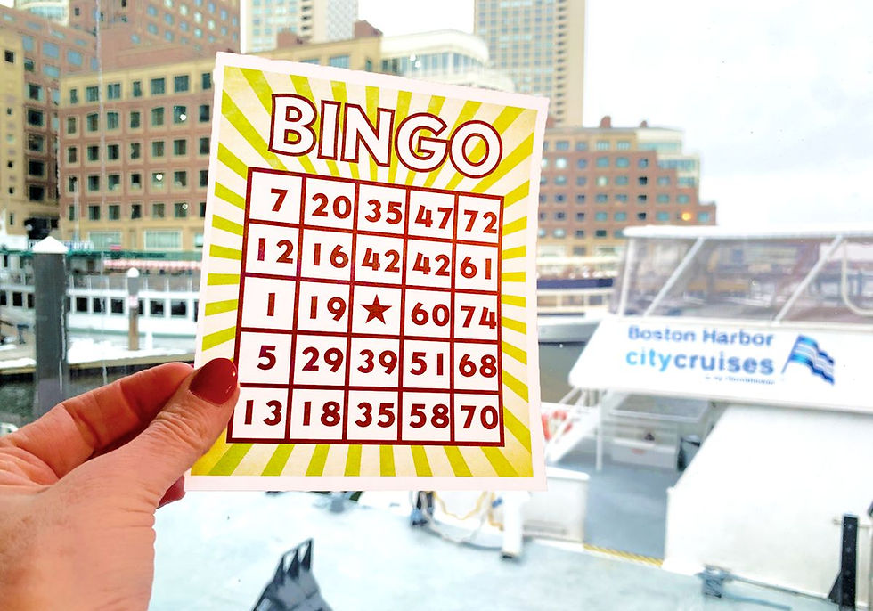 Bingo Cruise Image 1.jpeg