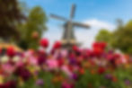 NL_Keukenhof_02.jpg