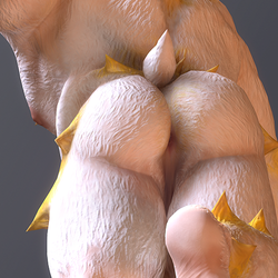 AsgoreX