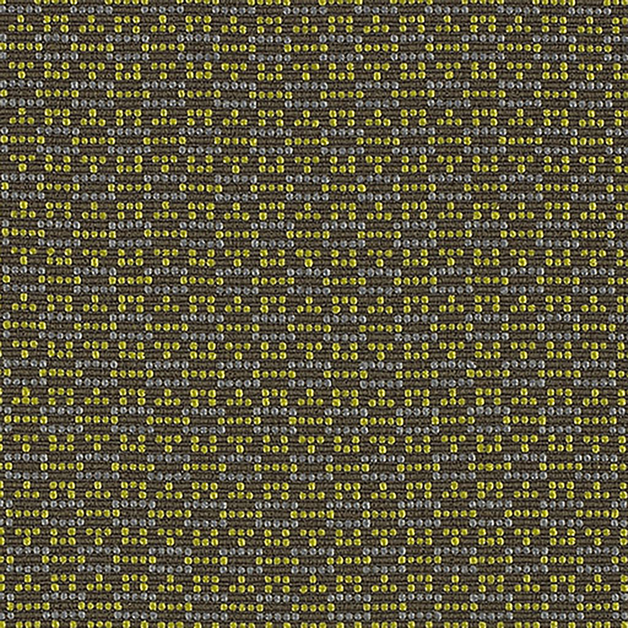 B351 Moss