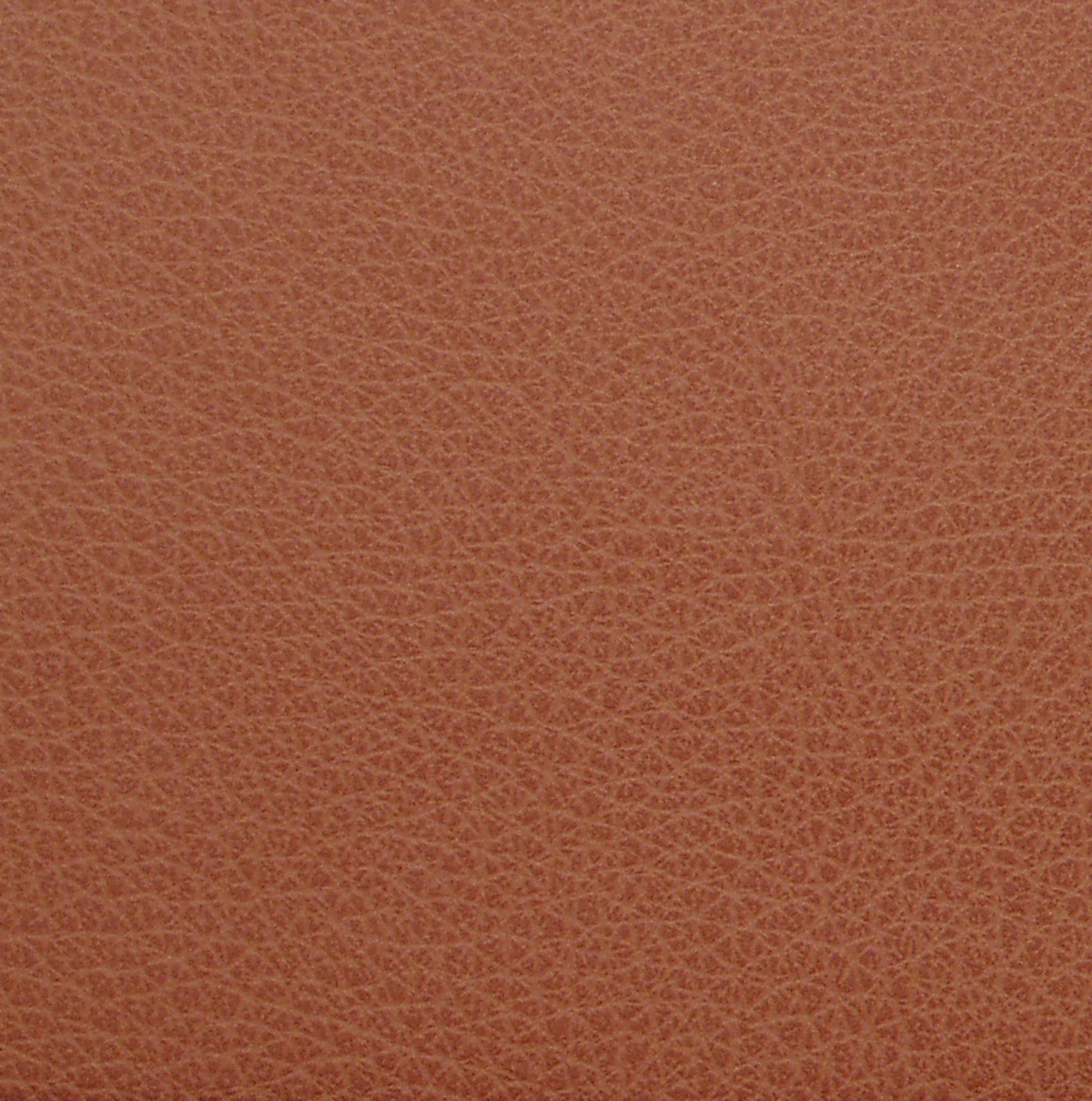 26 Cordovan