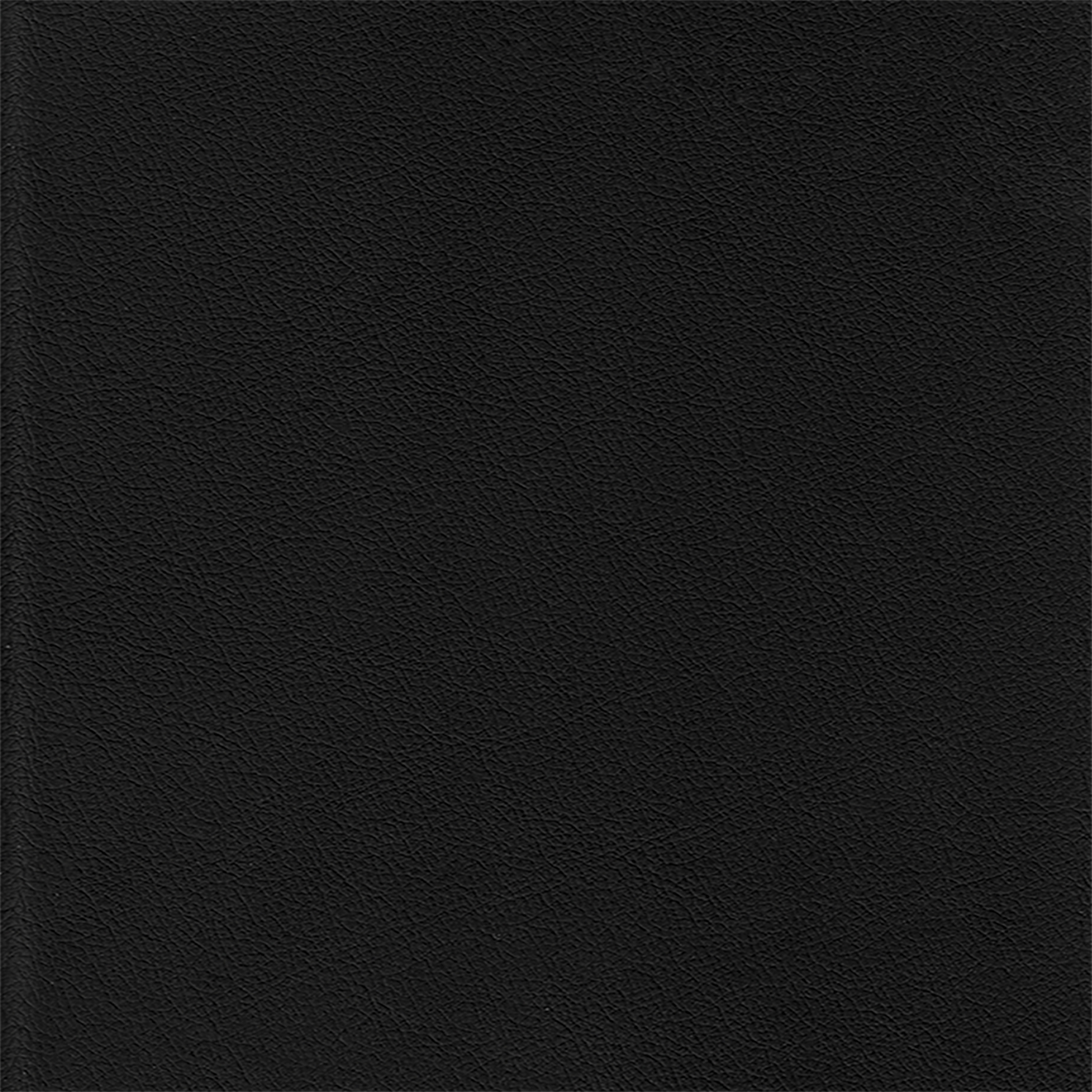 Black Vinyl_A205