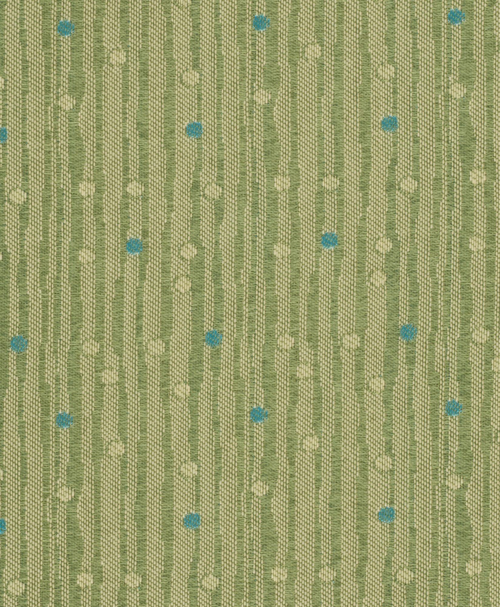 58 Aloe
