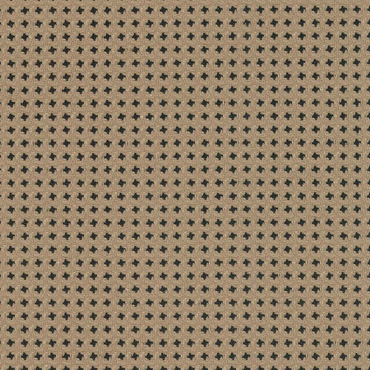 33 Latte