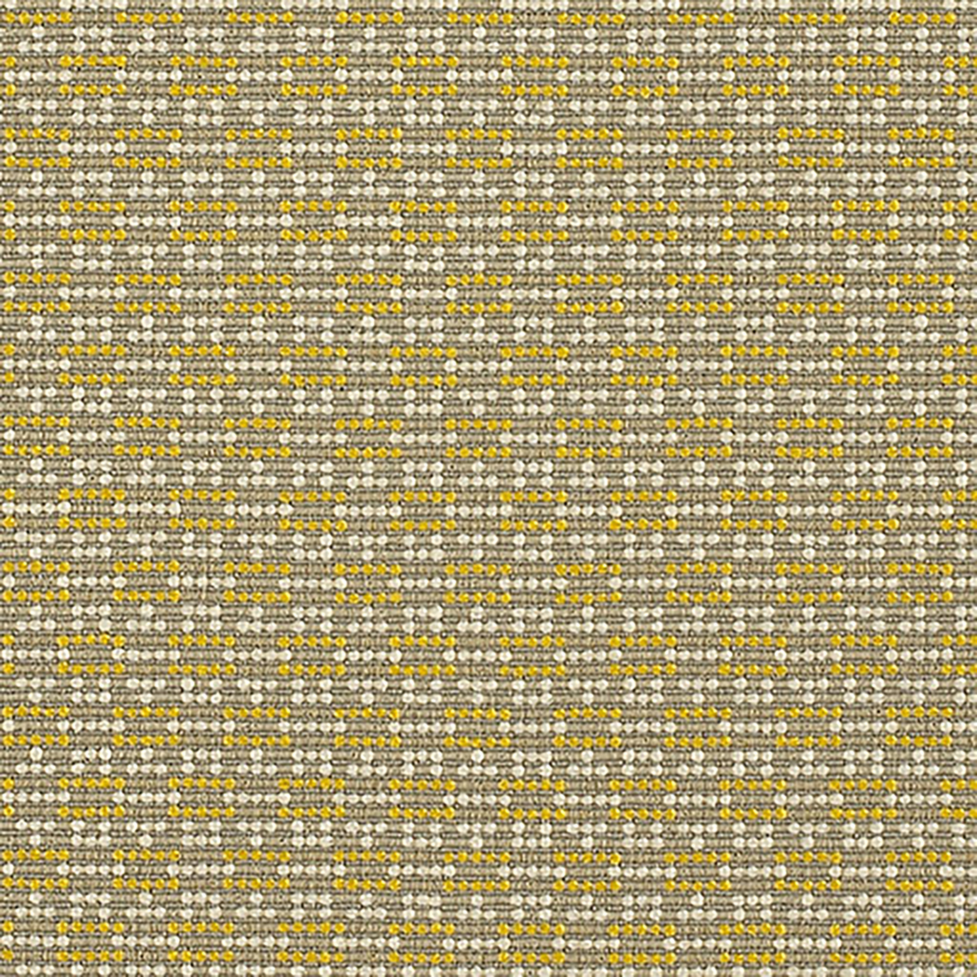 B350 Lemon