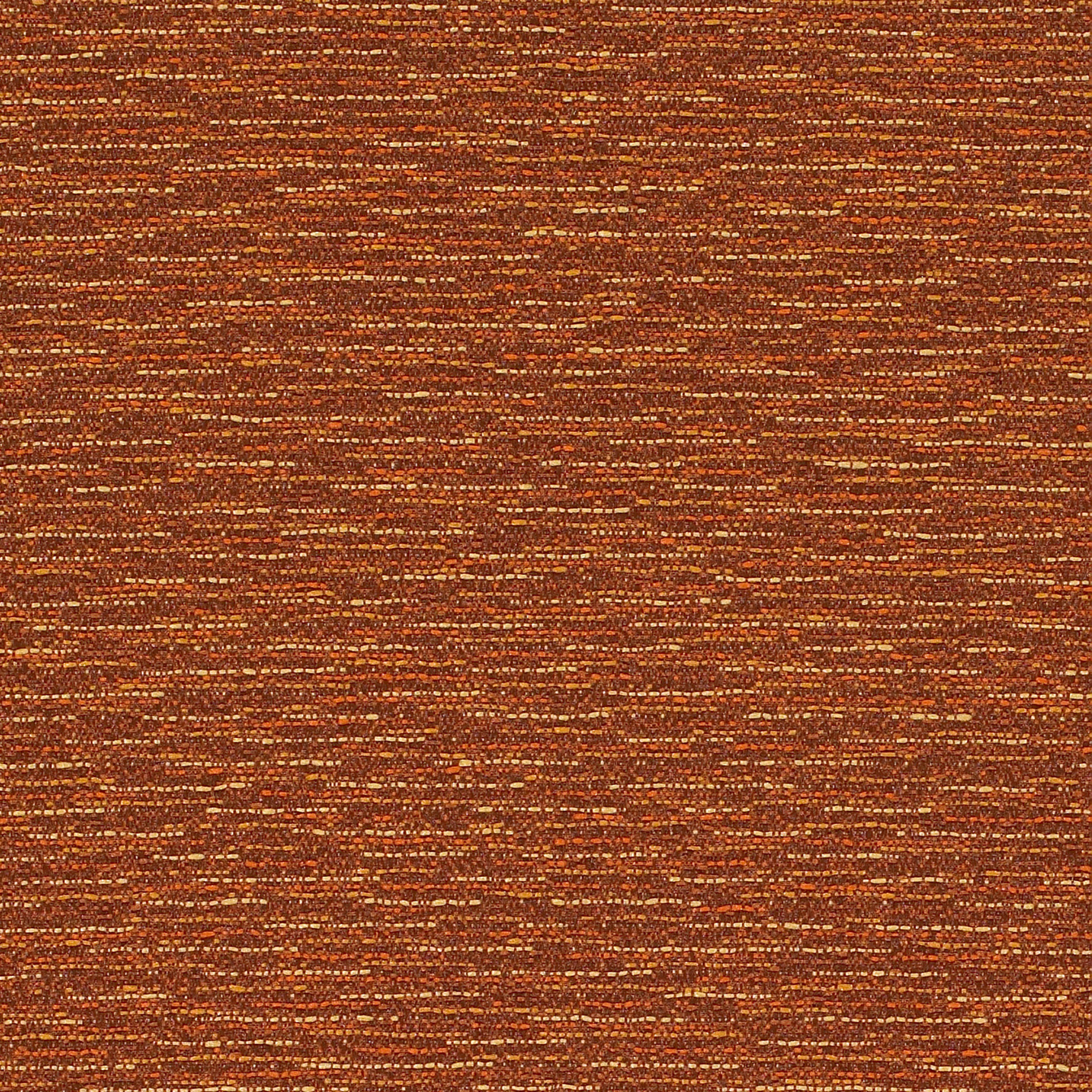 B353 Ginger
