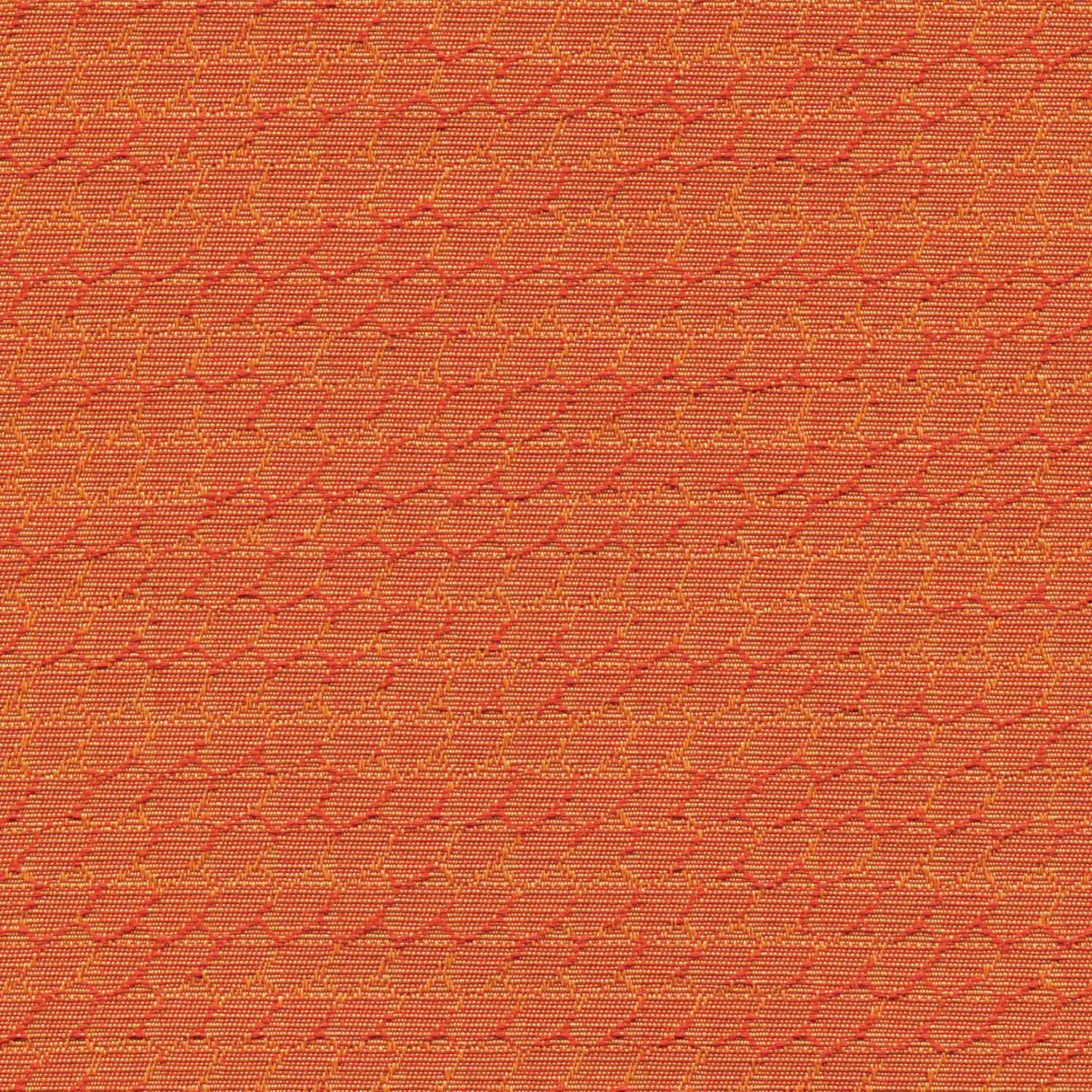 94 Pumpkin