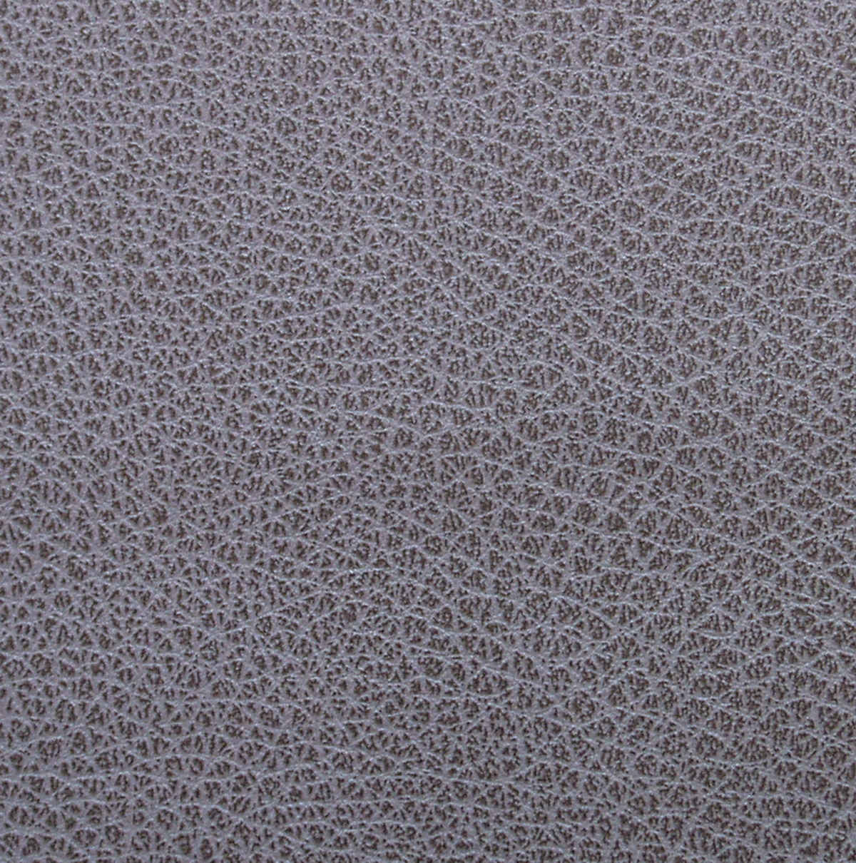 101 Carbon