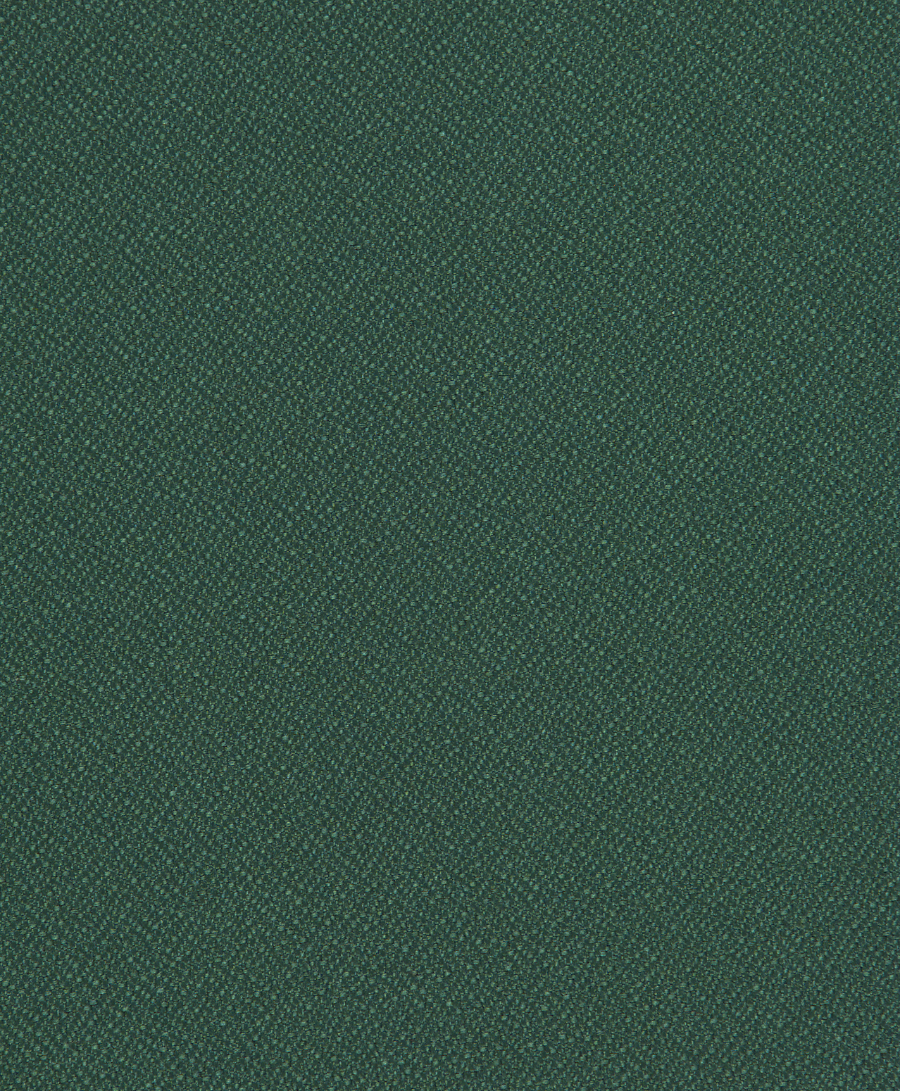 42 Chive
