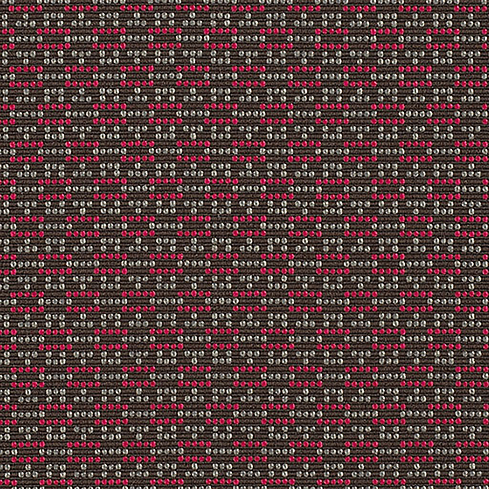 B347 Fuchsia