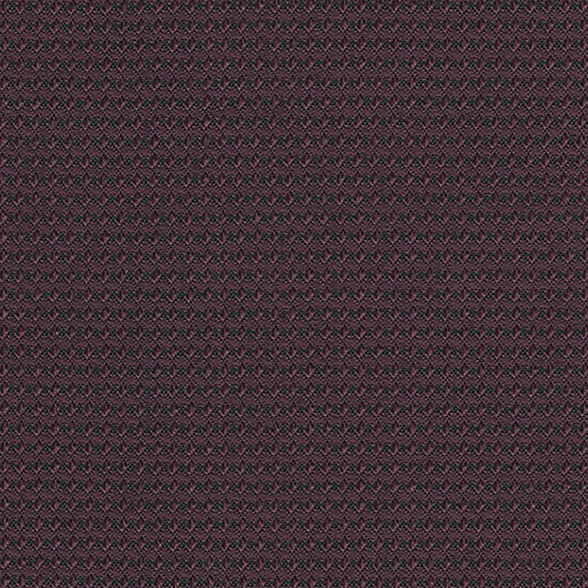 A323 Plum