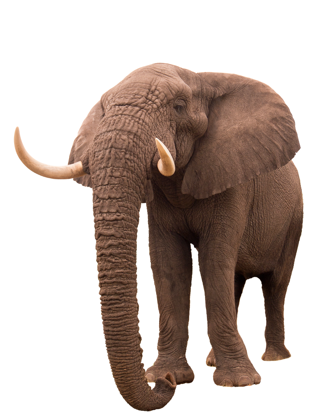 Untitled design (20).png