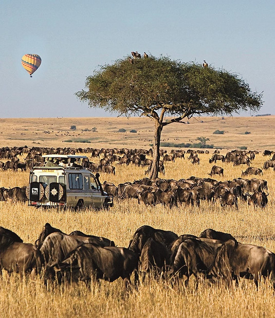 maasai-mara-8.jpg