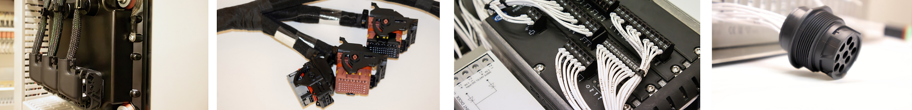 Harness Assembly 001