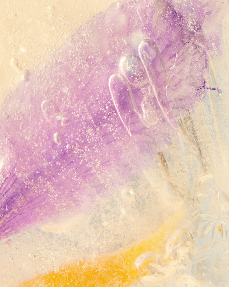 Iced flowers. Photos de fleurs dans des glaçons. Fleurs gelées 