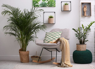 5 PLANTAS QUE PURIFICAN TU HOGAR