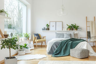 5 plantas purificadoras del aire