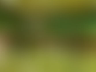 6/14 練習試合!
