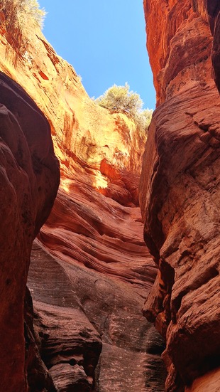 Antelop Canyon