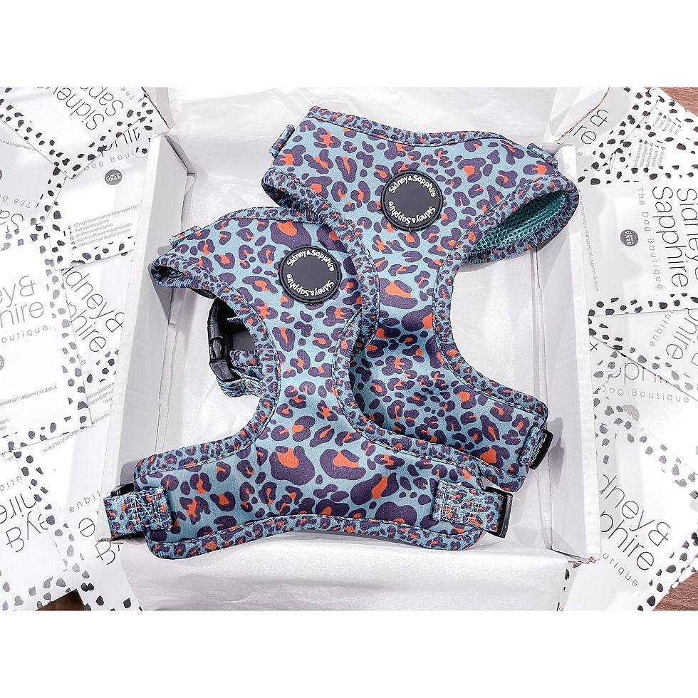 Navy Leopard Print 'Wild Willow' Dog Harness