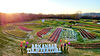 Tulip Festival at Rivercrest Orchard Fayetteville, AR