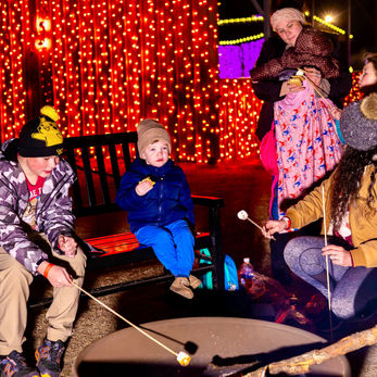 Family roasting marshmallows by a fire pit