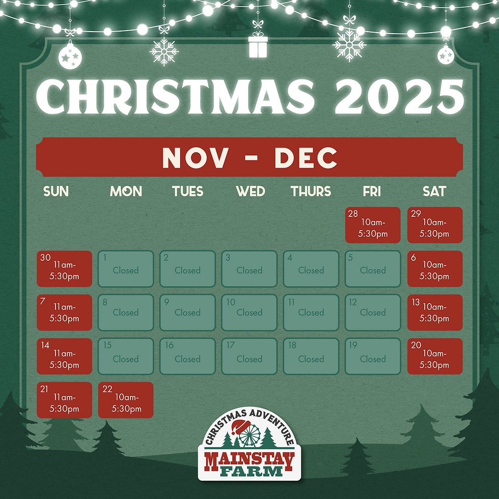 2025 Christmas Calendar