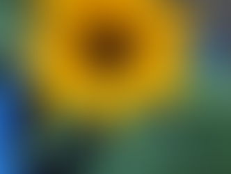 2021 Garden party: July 21, 2021!