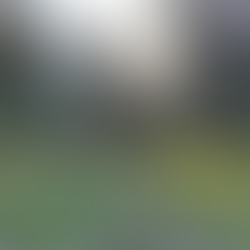 Olio Colonna – das Olivenöl einer wahren Principessa