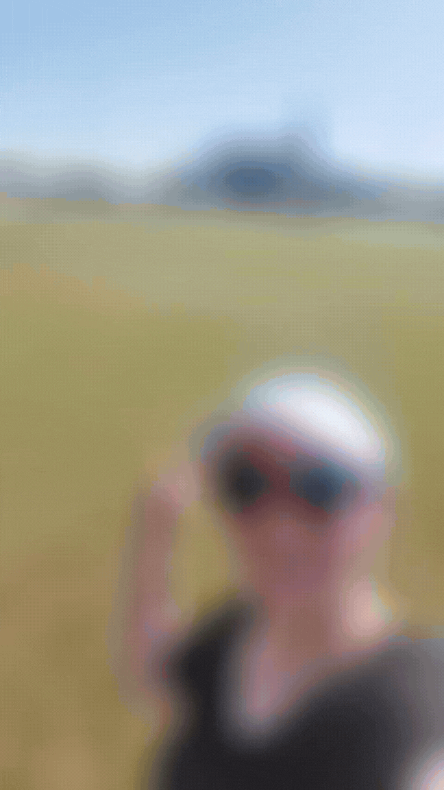 Daisy Chain Fields x Tooth Couture.gif