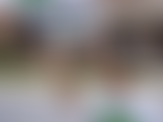 Join the Movement: Volunteer for the Richardson Campaign