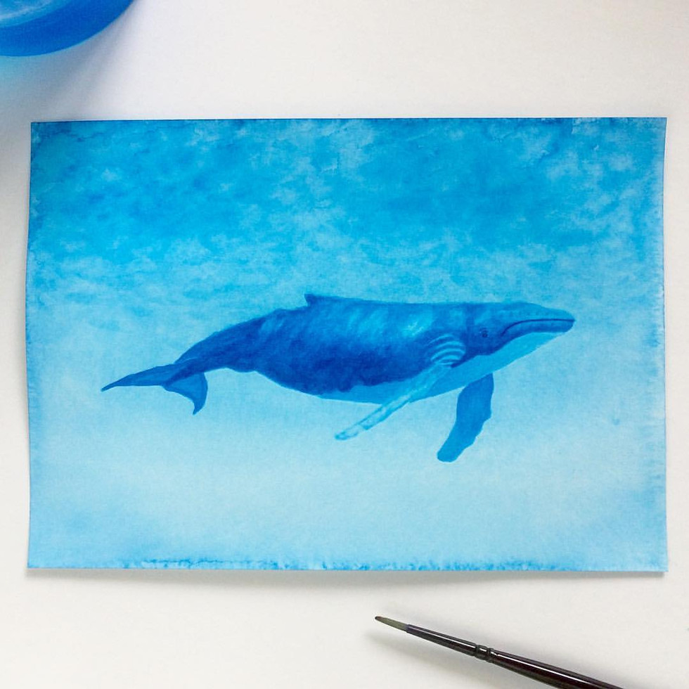 Whale