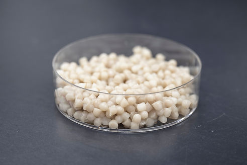 HydGene_JOW-251016-2288 (1).jpg