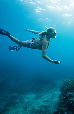 Woman Snorkeling with Stingray