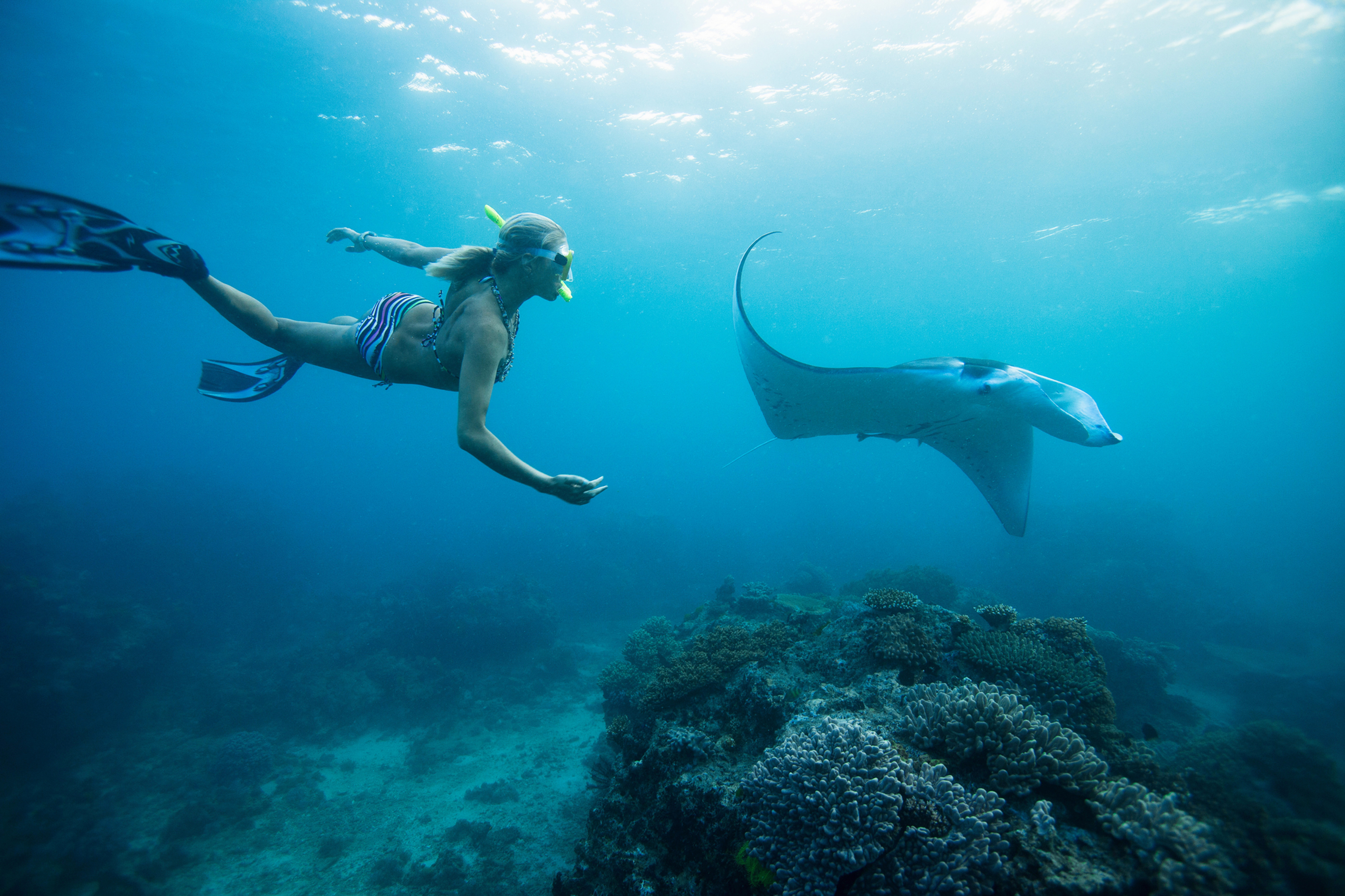 Snorkeling Adventure