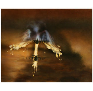 Angel Dove, acrylic on linen, 38 cm x 51 cm, 2012.jpg