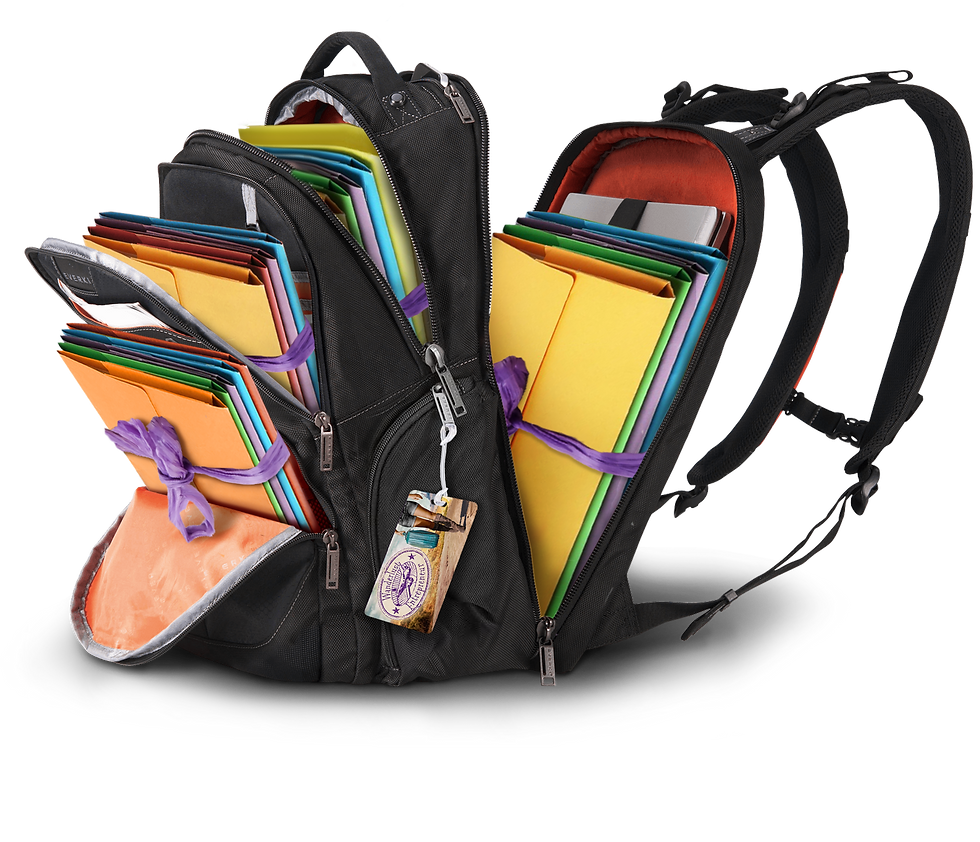 BAGwithFOLDERS