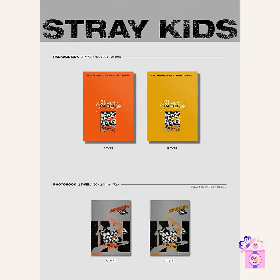 Miniatura: Stray Kids – IN生 (In Life Standard Version)