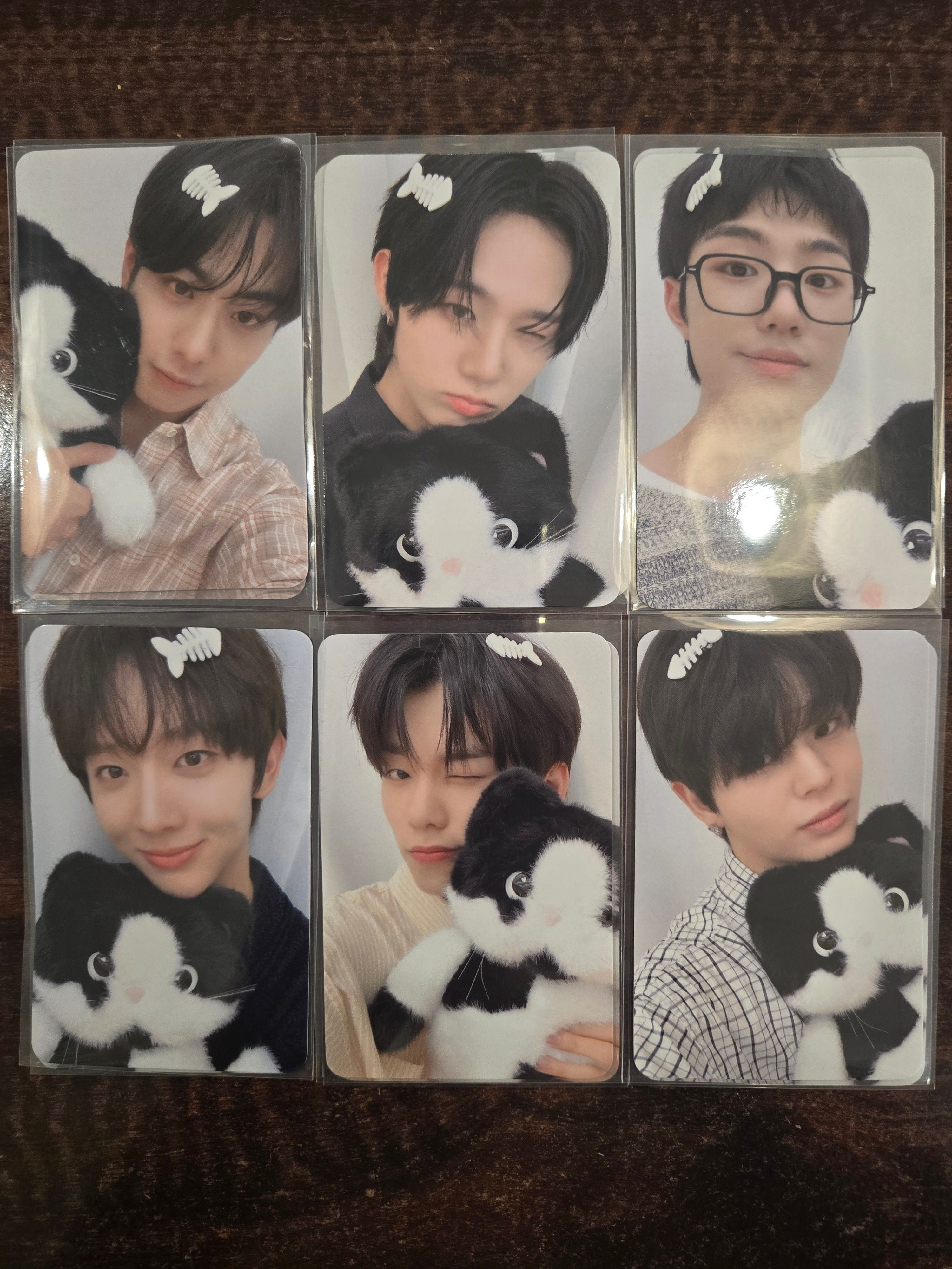 EVNNE 5th mini album LOVE ANECDOTE(S) Hellolive POB Photocard