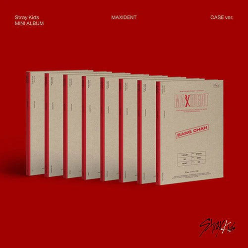 【新品】Stray Kids MAXIDENT CASE ver. 8枚セット file.jpg