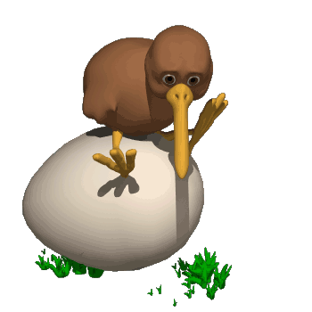 A AVES (178).gif