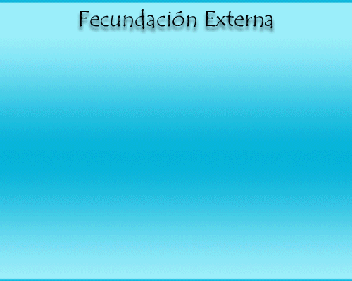 Reproext.gif