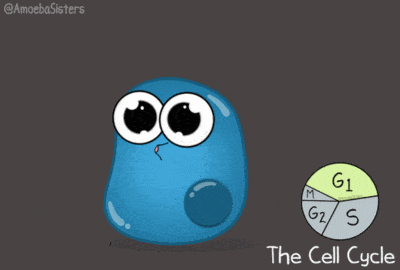 dde539f4-595f-44fb-bc3e-86ef1002579c_400_400.gif